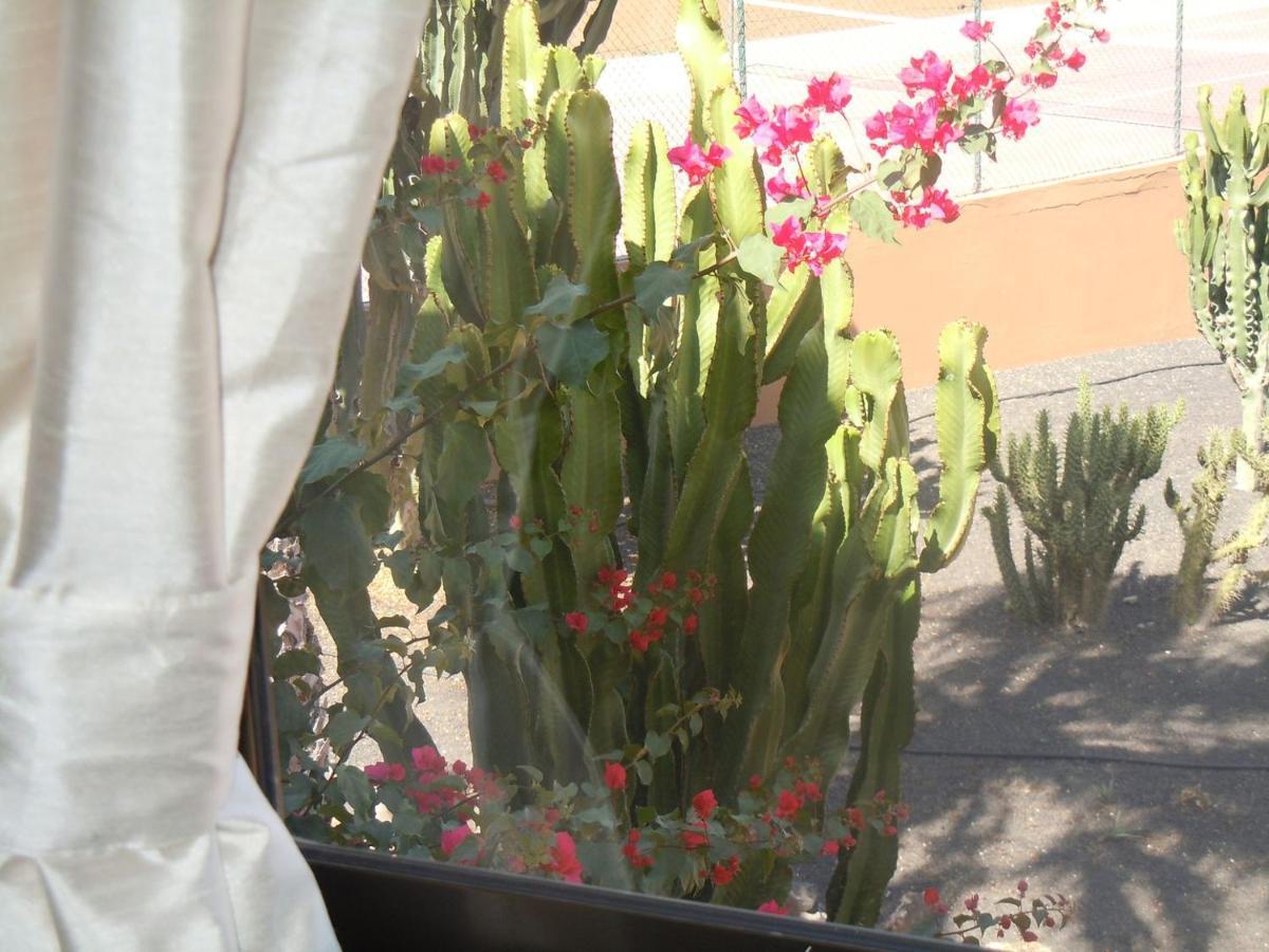 Family Apartment 1 Bedroom With Pool View - Oasis Duna Resort Corralejo Exteriör bild